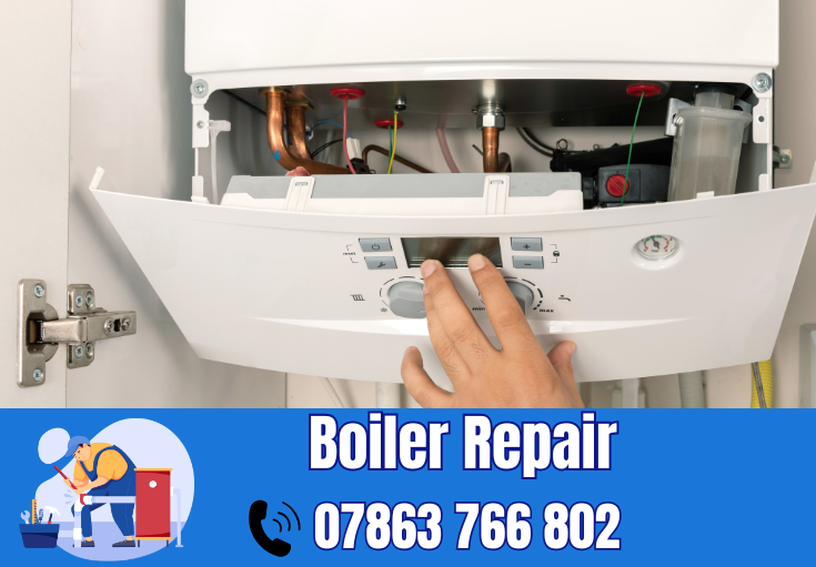 boiler repair Thatto Heath