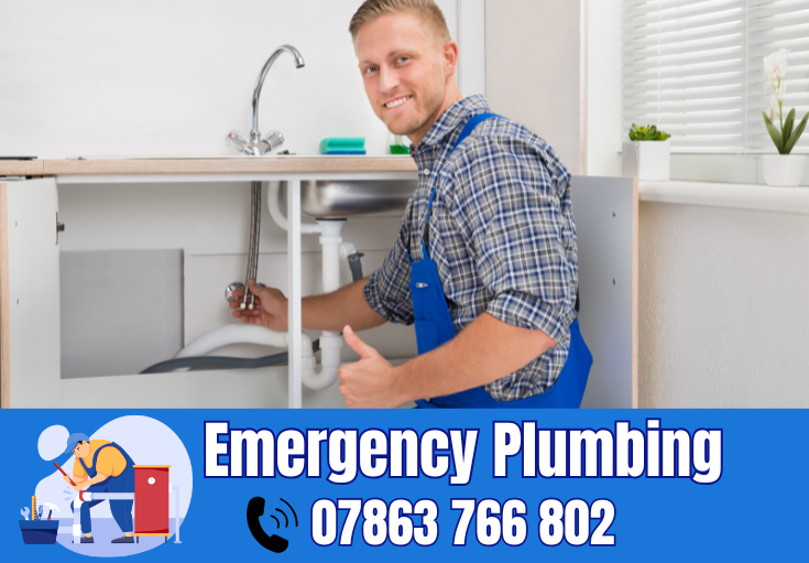  plumber Brown Edge