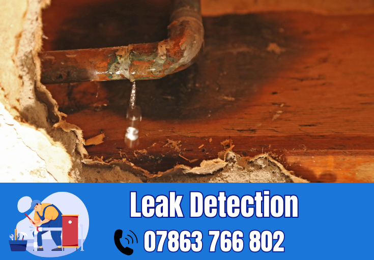 leak detection Thatto Heath