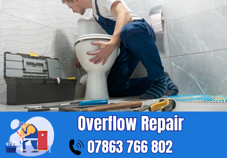 overflow repair Thatto Heath