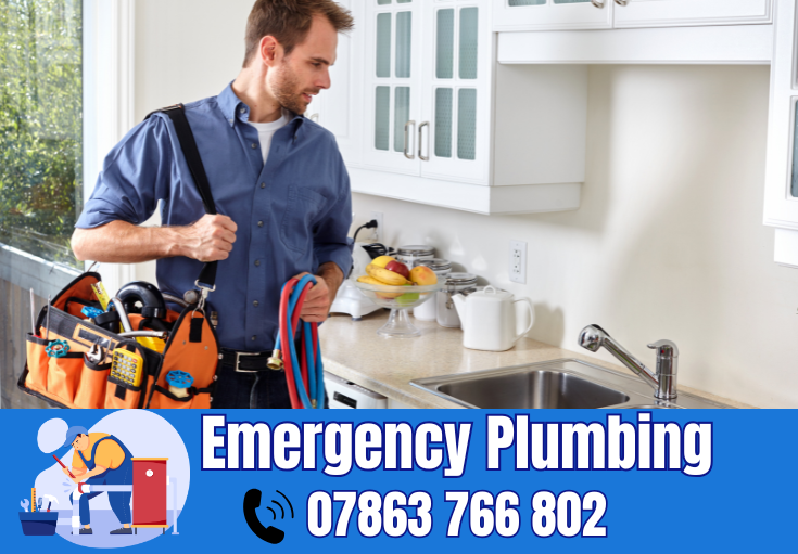  plumber Eccleston Park