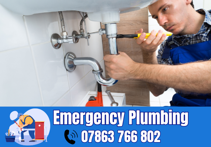  plumber Ravenhead