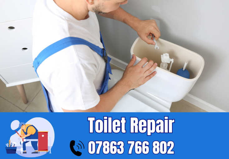 toilet repair Thatto Heath